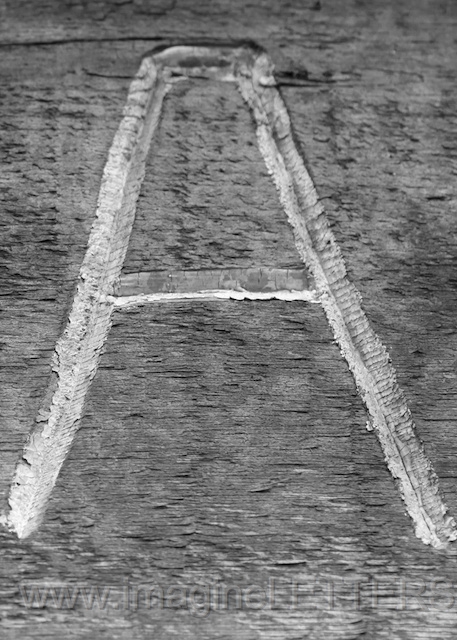 Wall_Art_Alphabet_Photography_Art_ 120.jpg